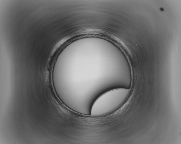X0000111521066200907141232
