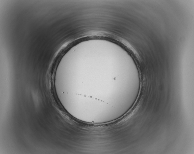X0000111521067200907141232