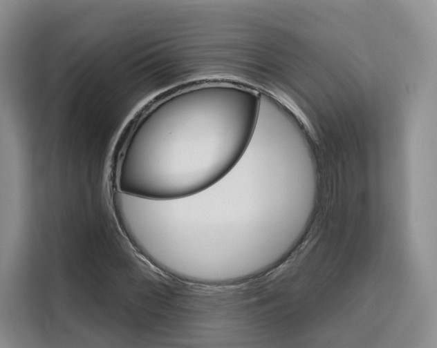 X0000111521068200907141232