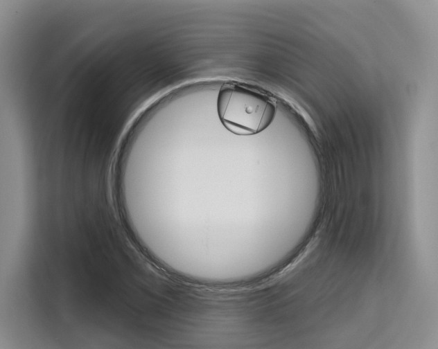 X0000111521069200907141231