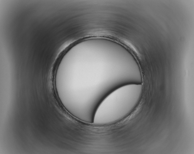 X0000111521071200907141231