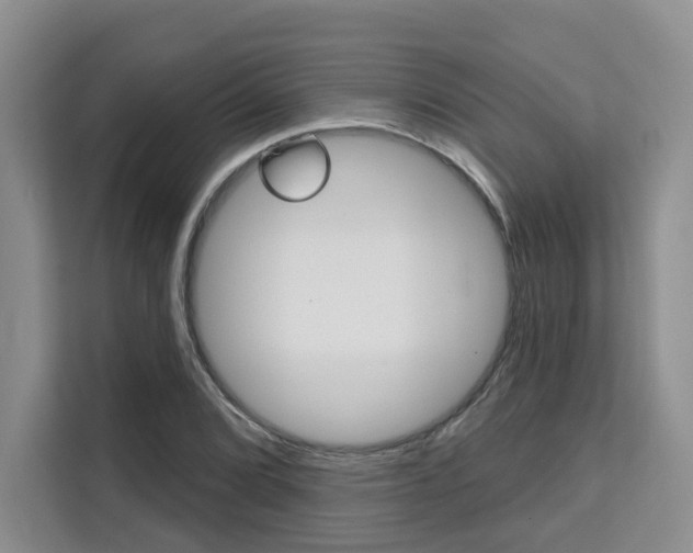 X0000111521072200907141231