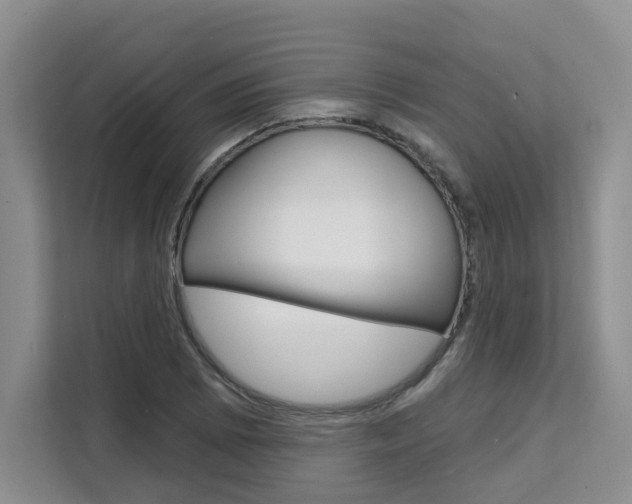 X0000111521073200907141231