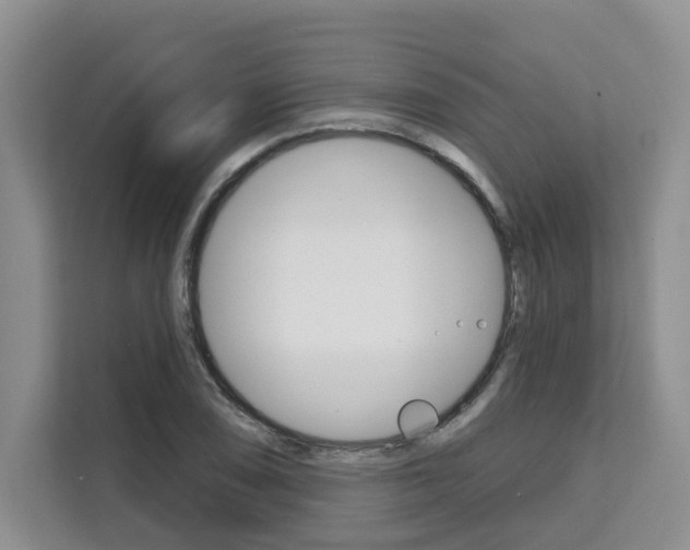 X0000111521074200907141231