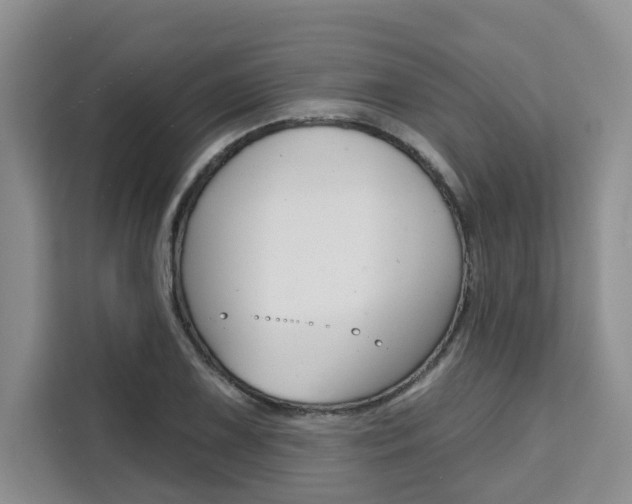 X0000111521075200907141231