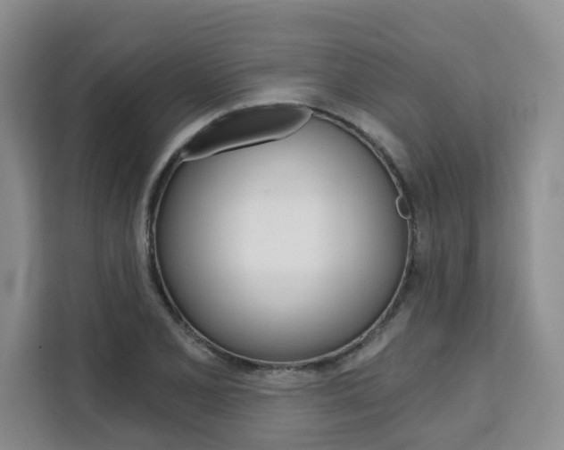 X0000111521077200907141231