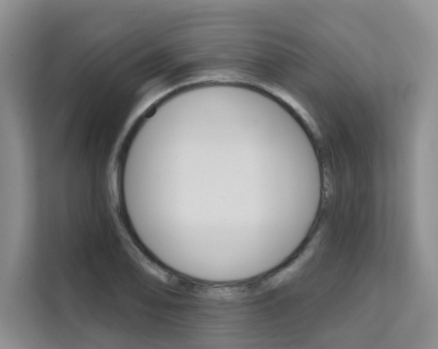 X0000111521078200907141231