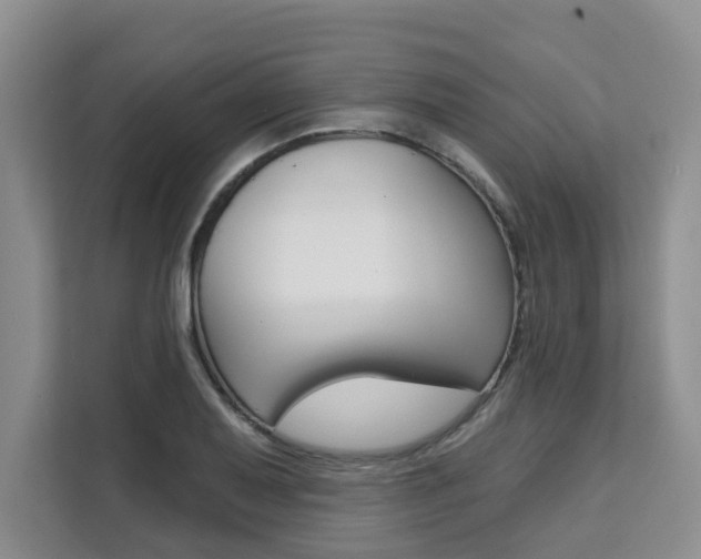 X0000111521079200907141231