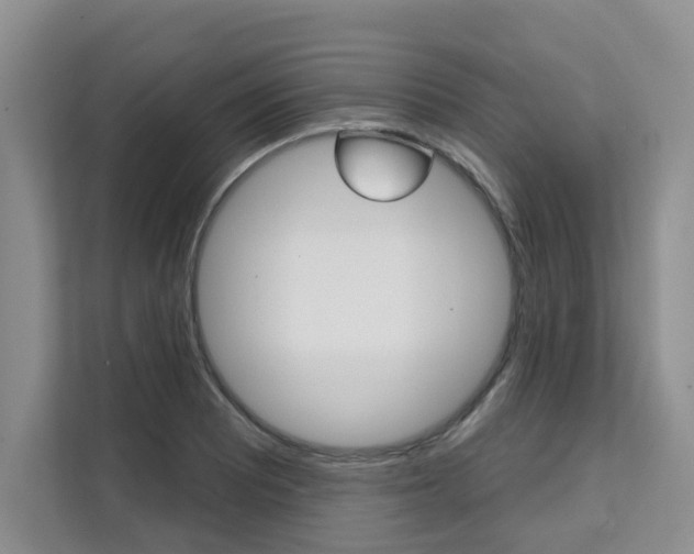 X0000111521081200907141231