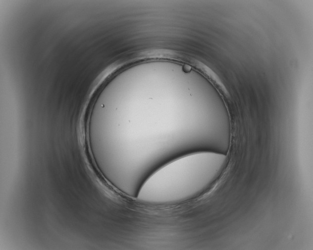 X0000111521082200907141231