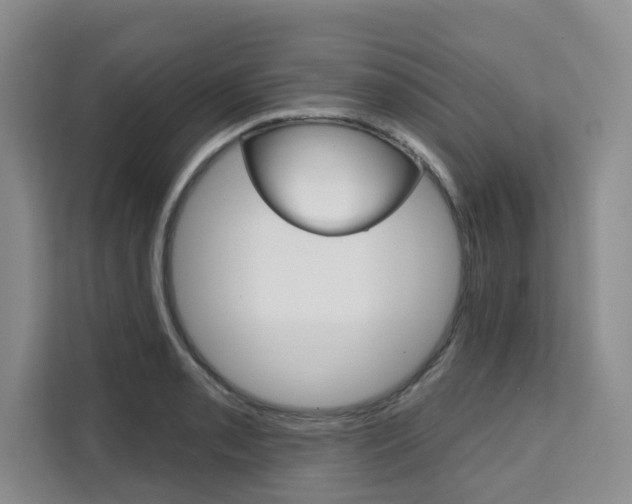 X0000111521085200907141231