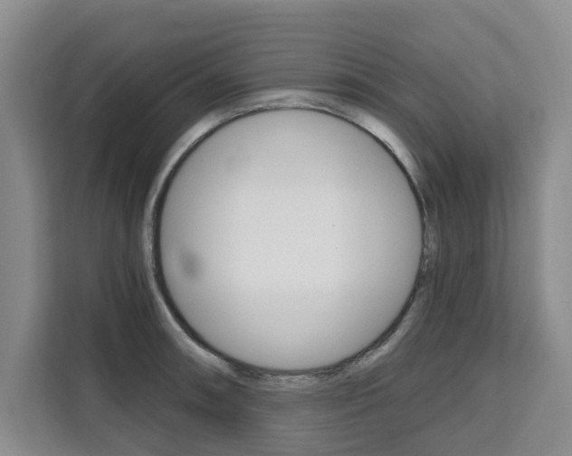 X0000111521090200907141231