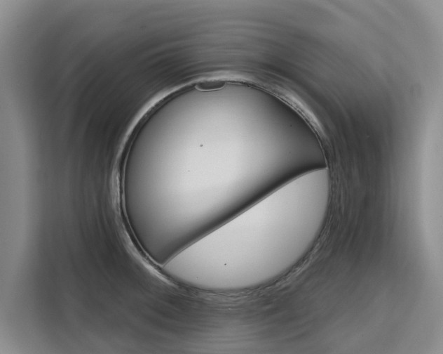 X0000111521092200907141231