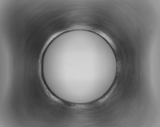 X0000111521094200907141231