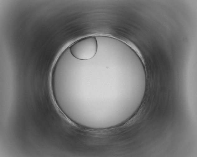 X0000111521096200907141231