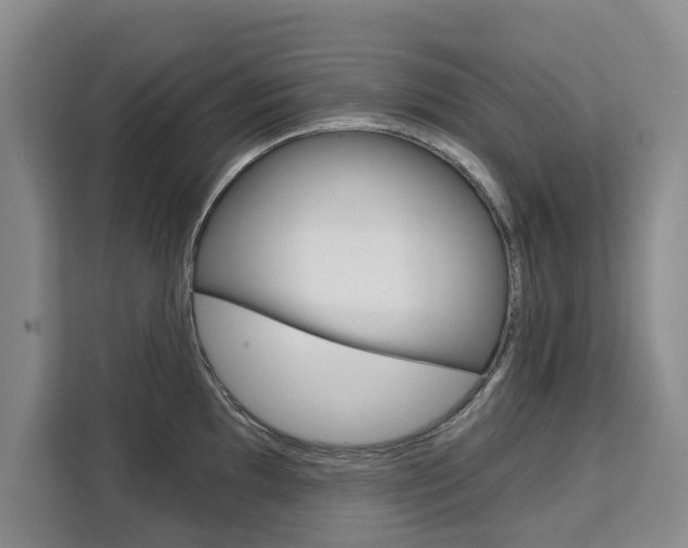 X0000111521097200907141231