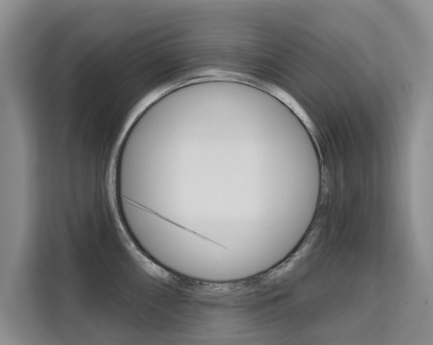 X0000111521098200907141231