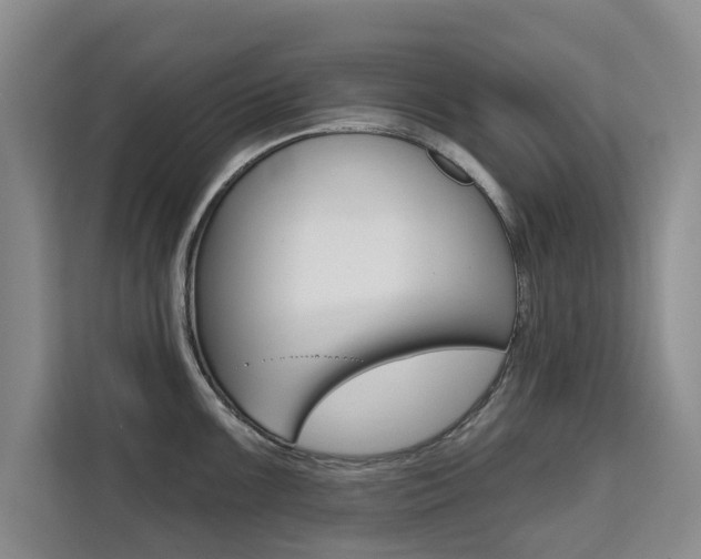 X0000111521099200907141231
