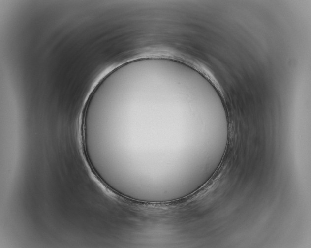 X0000111521103200907141231