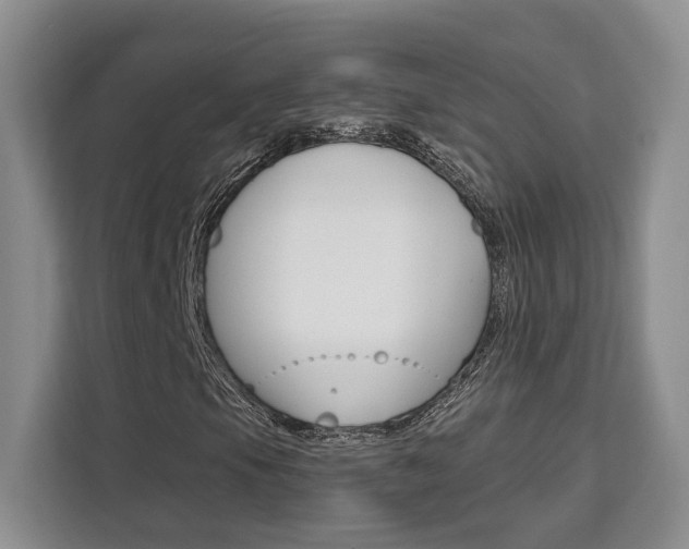 X0000111521105200907141230