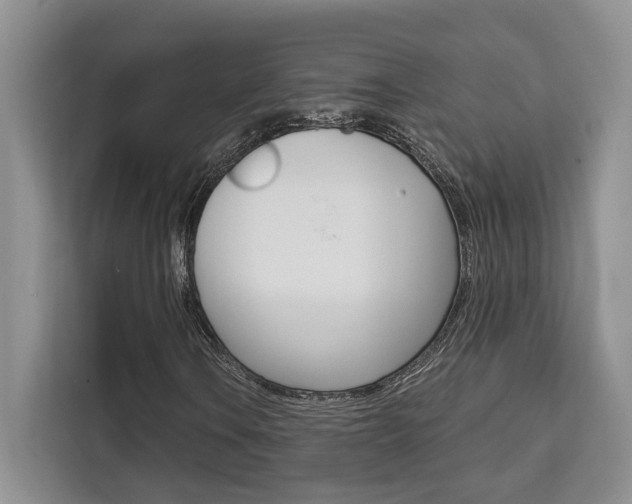 X0000111521106200907141230
