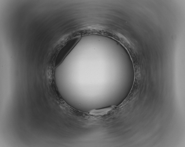 X0000111521110200907141230