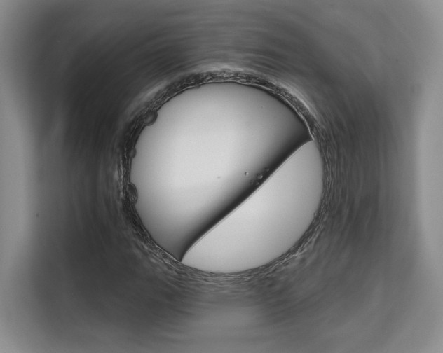X0000111521111200907141230