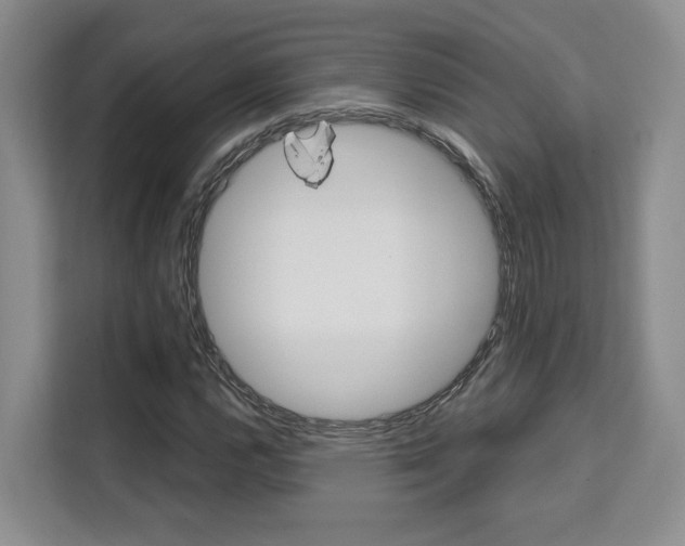 X0000111521112200907141231