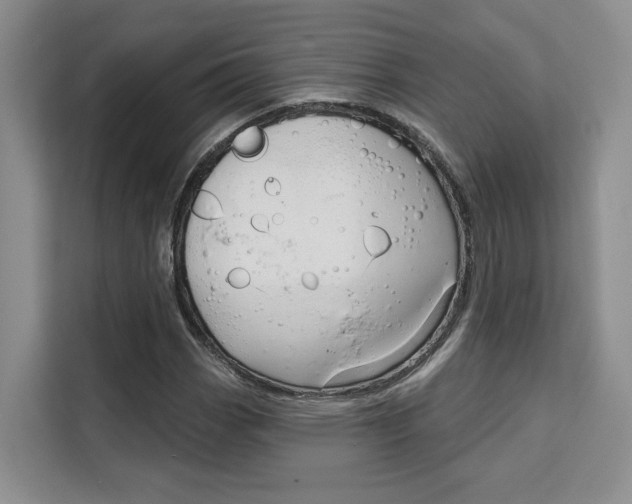 X0000111521113200907141231