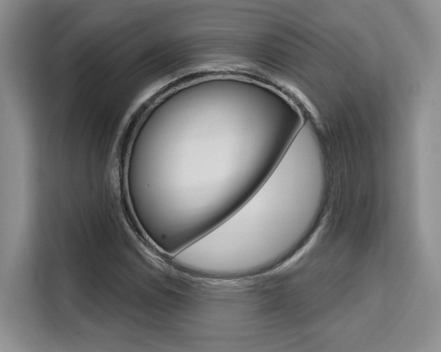 X0000111521114200907141231