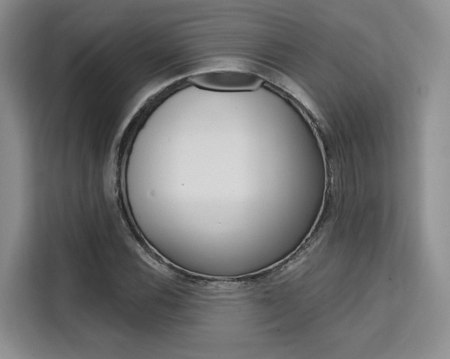 X0000111521116200907141231
