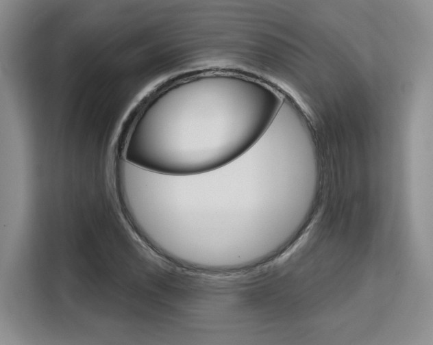 X0000111521118200907141231