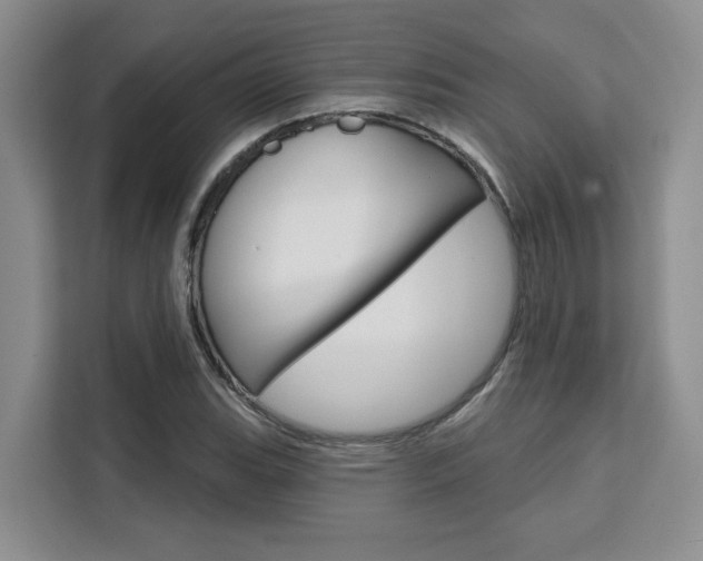 X0000111521119200907141231