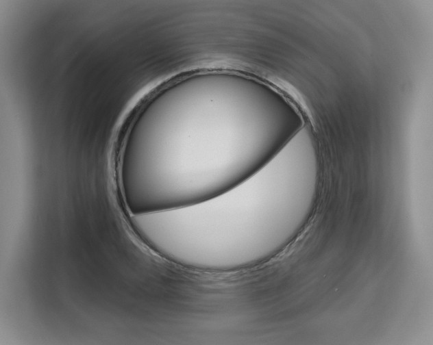 X0000111521120200907141231