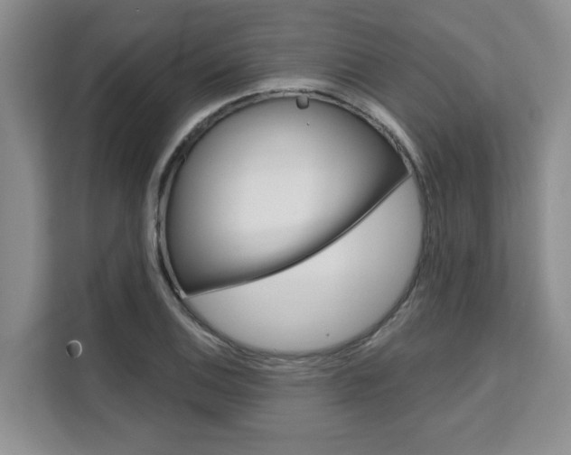 X0000111521124200907141231