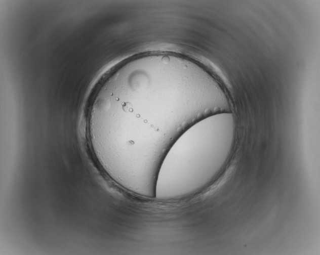 X0000111521125200907141231