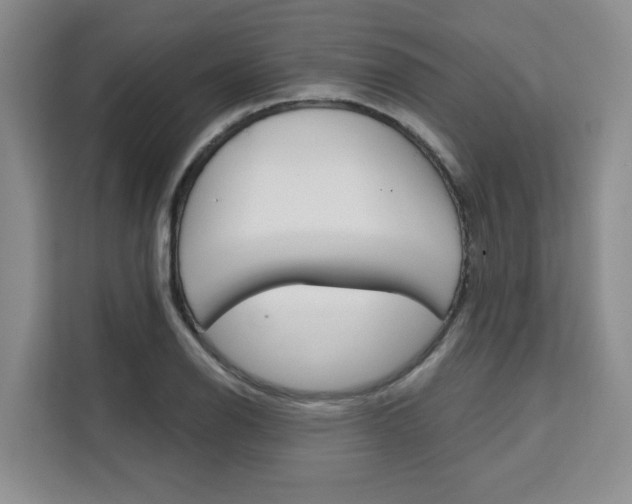 X0000111521126200907141231