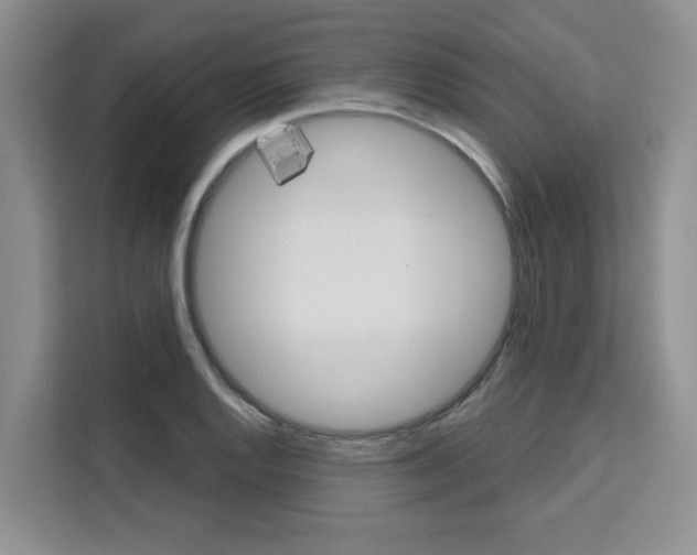 X0000111521128200907141231