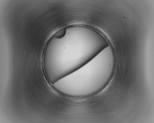 X0000111521129200907141231