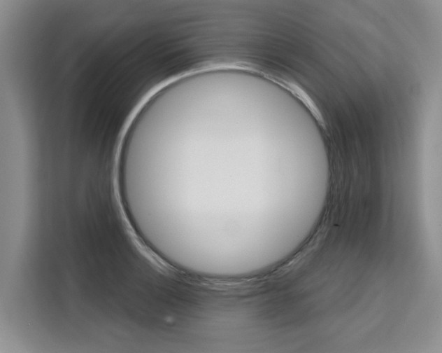 X0000111521132200907141231