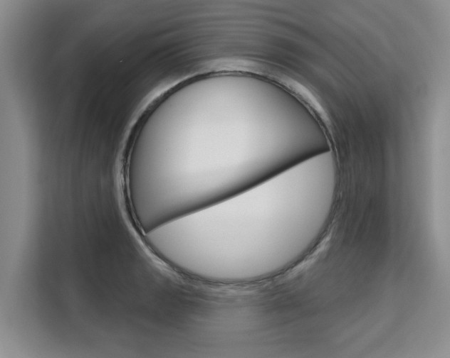 X0000111521133200907141231