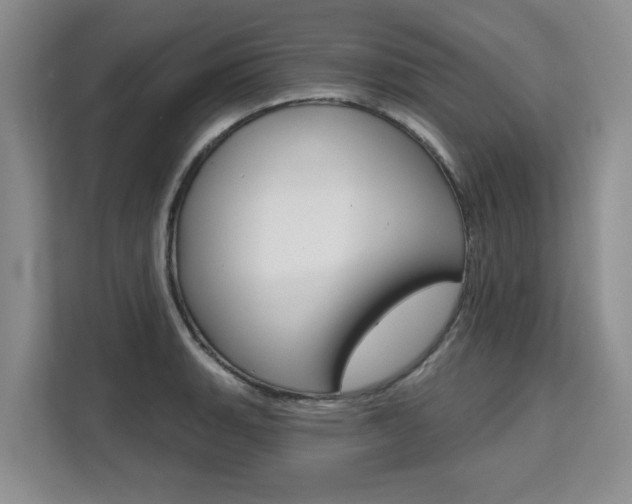 X0000111521135200907141231
