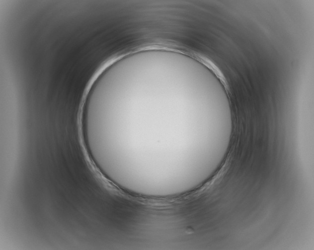 X0000111521138200907141231
