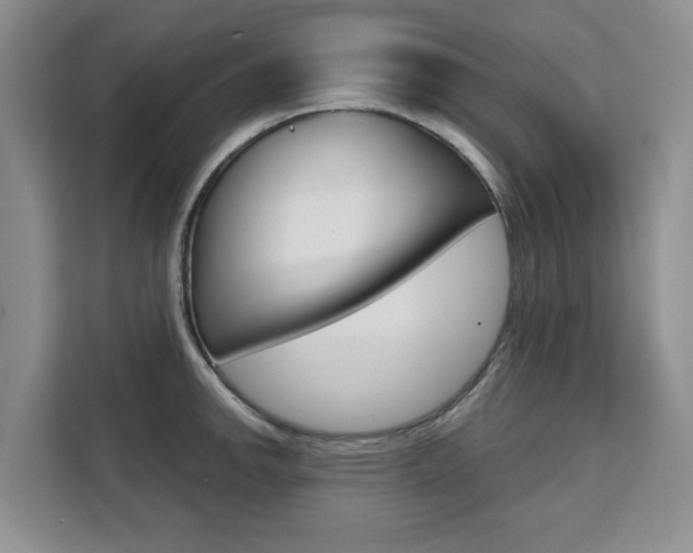 X0000111521142200907141231