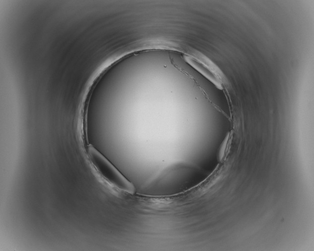 X0000111521144200907141231