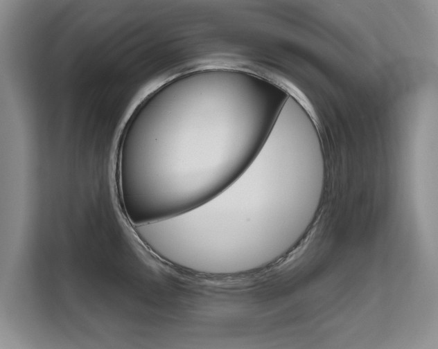 X0000111521146200907141231