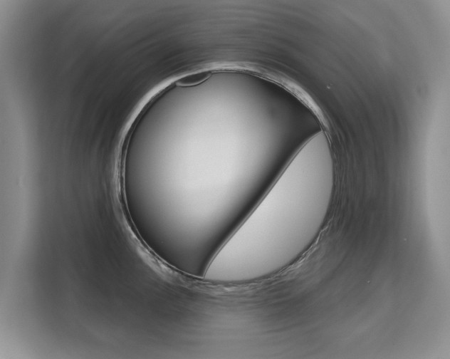 X0000111521148200907141231