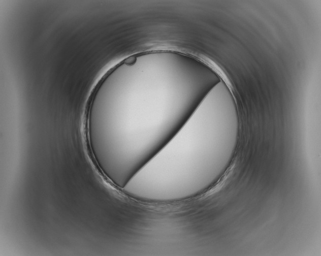 X0000111521149200907141231