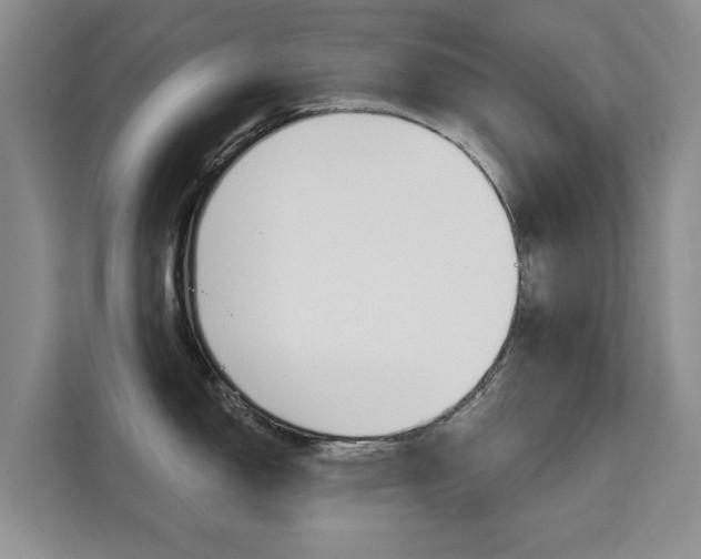 X0000111521150200907141231