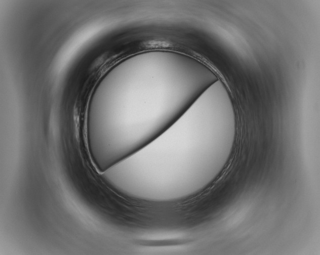 X0000111521151200907141231